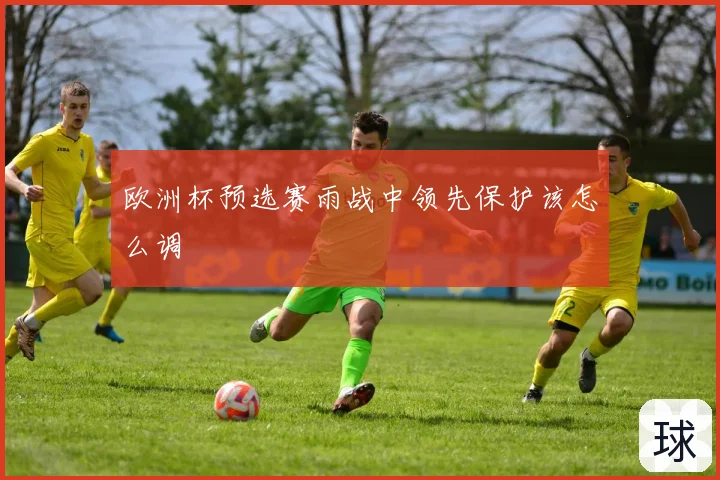欧洲杯预选赛雨战中领先保护该怎么调