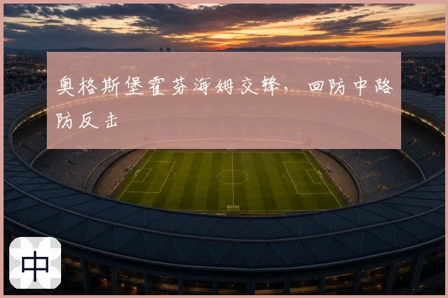 奥格斯堡霍芬海姆交锋，回防中路防反击